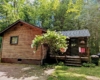 Cabin 12 Hydrangea