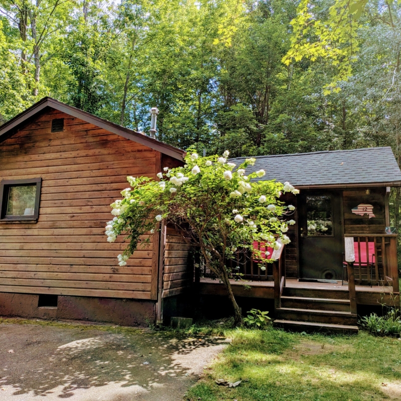 Cabin 12 Hydrangea